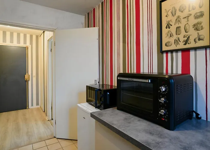 Elegant Avec Balcon Prive A Apartment Lille